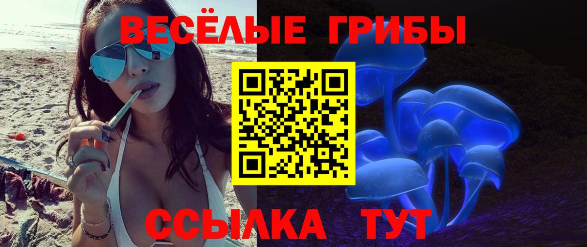 Галлюциногенные грибы Psilocybe Гусиноозёрск