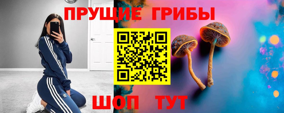 Гусиноозёрск  Псилоцибиновые грибы Magic Shrooms  Вход с VPN 